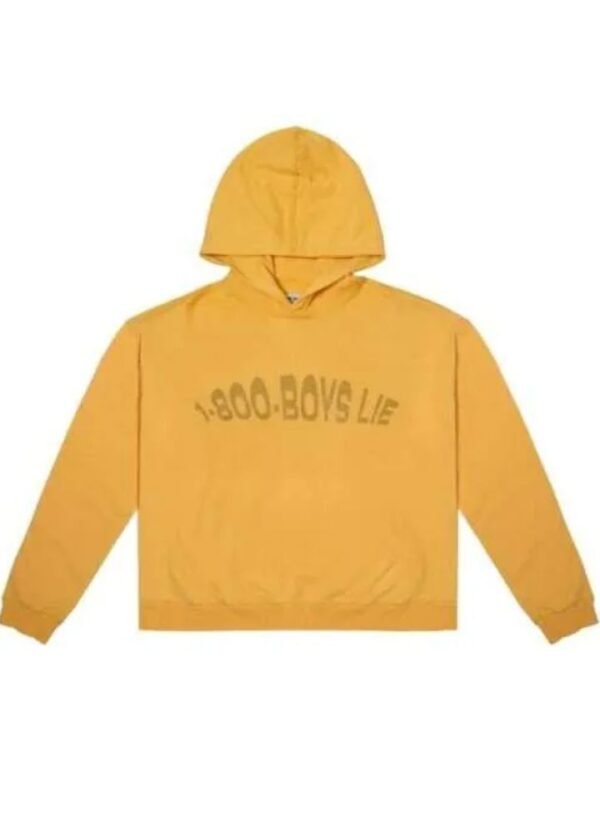 1-800 Boys Lie Hoodie