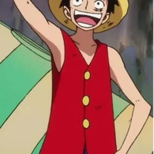 red-coton-vest.webp